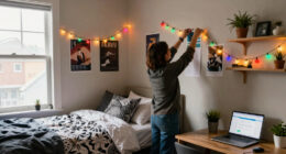 Dorm Room Decor Ideas: A Back to school Guide