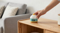 I'm Putting A $14 Kitchen Accessory On My Living Room Shelves (See Why!)