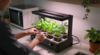 NYC Apartment Aquaponics