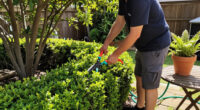 Don’t Be THAT Neighbor — The Unwritten Rules Of Being A Good Neighbor