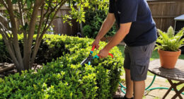 Don’t Be THAT Neighbor — The Unwritten Rules Of Being A Good Neighbor