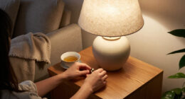 15 Best Decorative Table Lamps for 2026