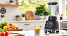Beat the Heat with the Ninja Professional Blender This Summer