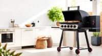 Keep Your Ninja Outdoor Woodfire Pro XL Grill & Smoker Summer-Ready