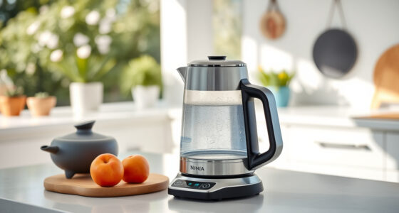Summer Sips Made Perfect: Ninja KT200BL Precision Electric Kettle Tips