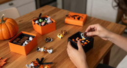 15 Best Halloween Candy Gift Boxes for Spooky Season Gifting in 2027