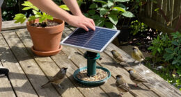 Coolfly’s Solar-powered Aura Smart Bird Feeder Is Nearly 50 Percent Off